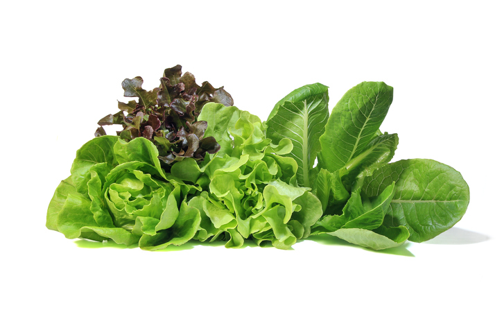 Tipos de lechuga: las más saludables