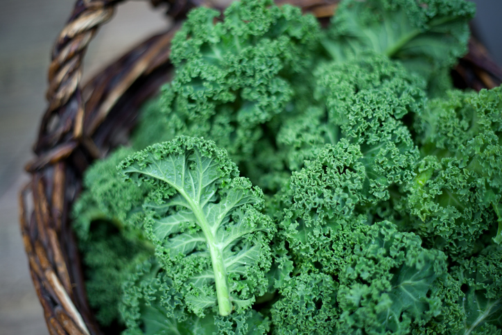 Propiedades del kale que no conocías y su uso en la cocina