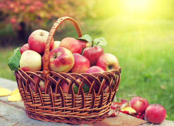 Los alimentos biodinámicos para una dieta sin sustancias químicas