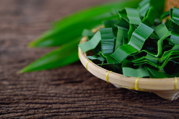 Las hojas de pandan, el nuevo aguacate para completar tu dieta