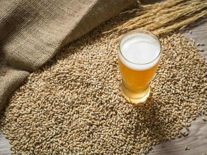 Las cervezas para intolerantes al gluten que podrás consumir