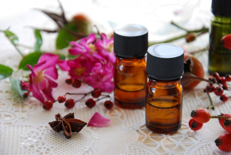 Descubre cuáles son los usos y beneficios de la rosa mosqueta