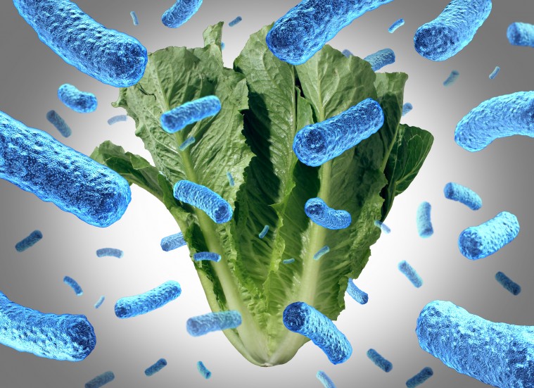 Los peligros de la lechuga