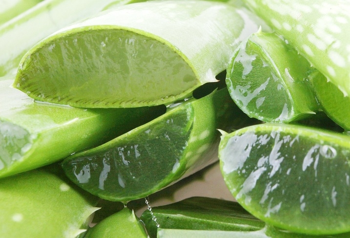 ¿Por qué se utiliza el aloe vera para la piel?