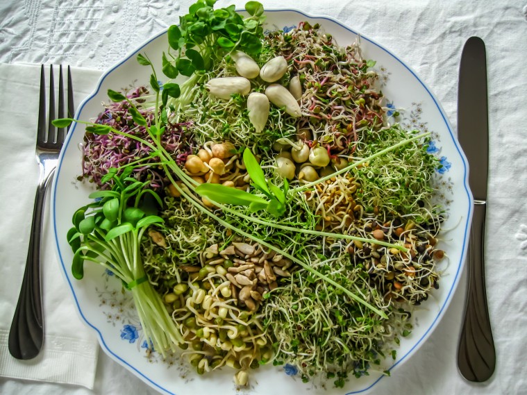 Beneficios de los alimentos germinados para la salud
