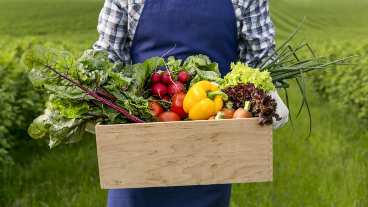 Las 9 verduras más beneficiosas para tu salud
