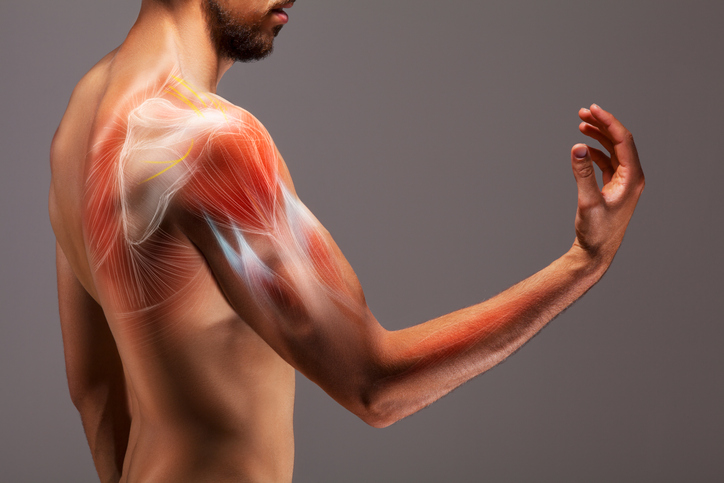 La importancia de trabajar la hipertrofia muscular