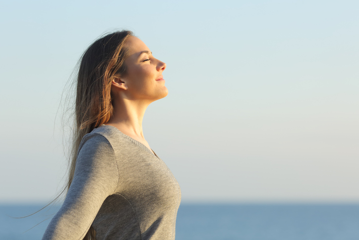 Salud y Bienestar 365: Dietas, Alimentos, Belleza y Más