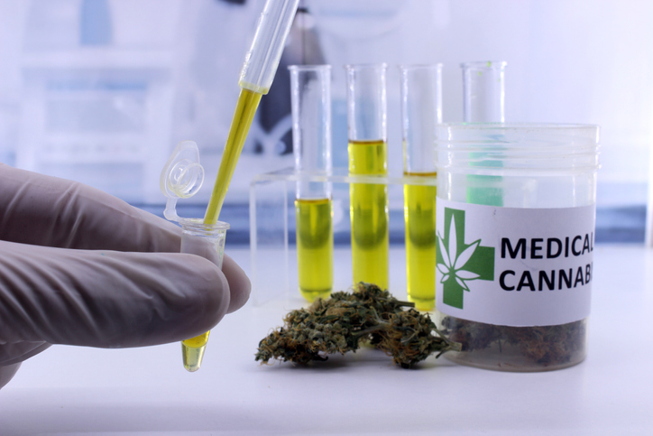 Beneficios del cannabis sobre la salud