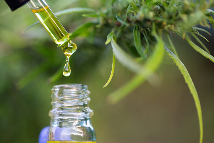 CBD, ¿una solución natural para el dolor neuropático?